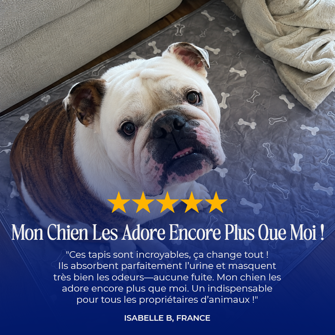 AlmaPad - Le Dernier Tapis Que Vous Achèterez